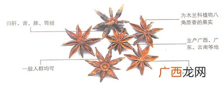 大寒节气吃茴香有什么好处?有效抗菌
