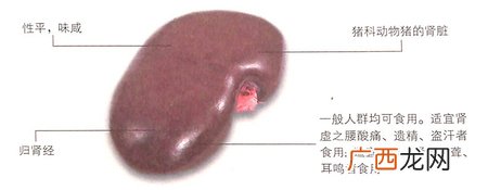 大寒节气吃猪腰和肾补腰,利尿消肿