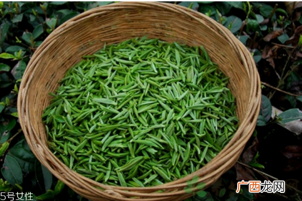 冬季上火喝什么茶能有效降火