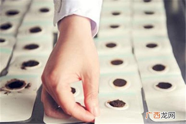 三伏贴起泡很痒怎么办 需要注意处理方法