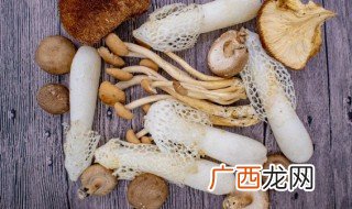 野生菌能和羊肉一起吃吗 野生菌可以和羊肉一起吃吗