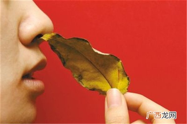 鼻子不停打喷嚏怎么办 解决方法是这样