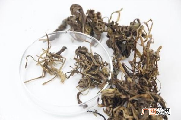 蒲公英泡水孕妇能喝吗 这几类人不宜饮用