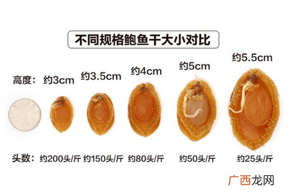 干鲍鱼头数越多越好吗 头数越多价格越便宜