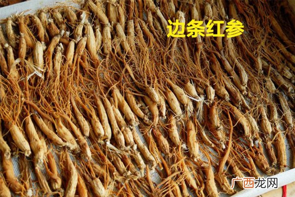 边条红参和普通红参哪个贵 前者价格更高