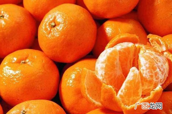 砂糖橘哪个品种好吃 3种砂糖橘各有优点