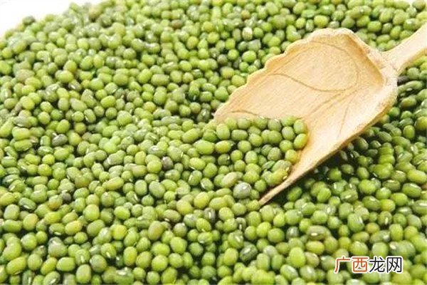 绿豆长虫了怎么处理 这样处理比较好
