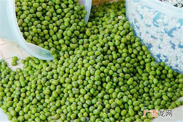 绿豆长虫了怎么处理 这样处理比较好