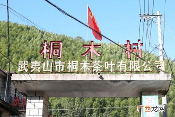 正山小种哪个产地最正宗 天选之地在这里