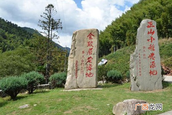 正山小种多少钱一斤 好货都不便宜