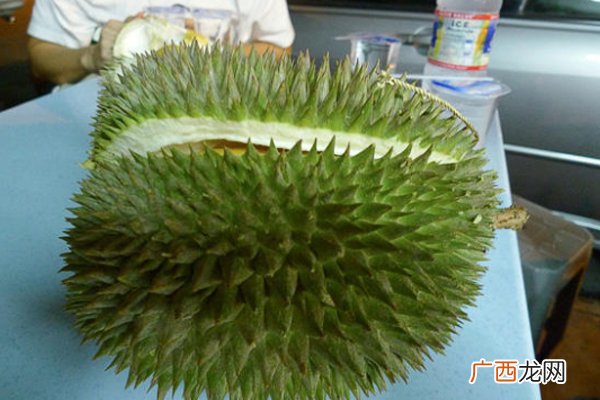 榴莲越大越好吗 越大越成熟