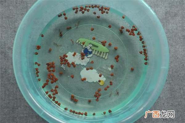 花椒泡脚泡几天最合适 花椒泡脚泡多少分钟
