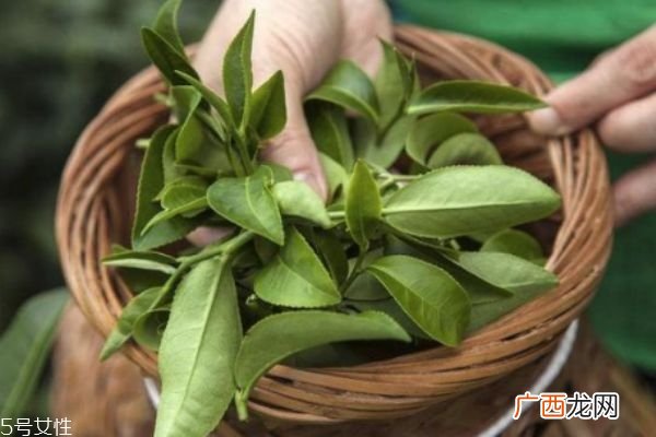 用茶叶泡脚有什么好处 小茶叶大用处