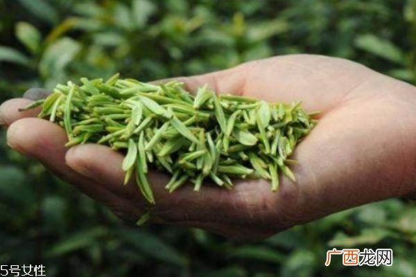 用茶叶洗头有什么好处 茶水洗头发的正确方法