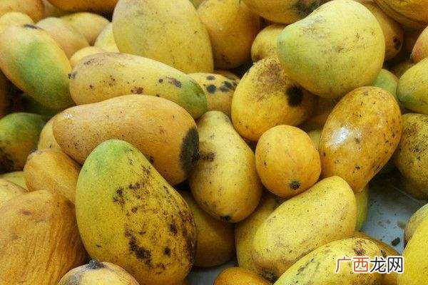 芒果果皮长黑斑能吃吗 口感发酸不好吃