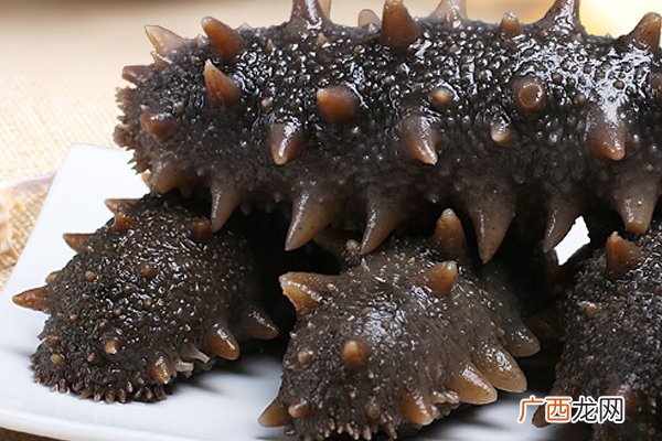 干海参有多大 最大能达30厘米