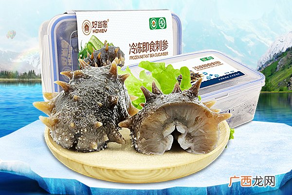 海参刺长好还是刺短好 太短没长好