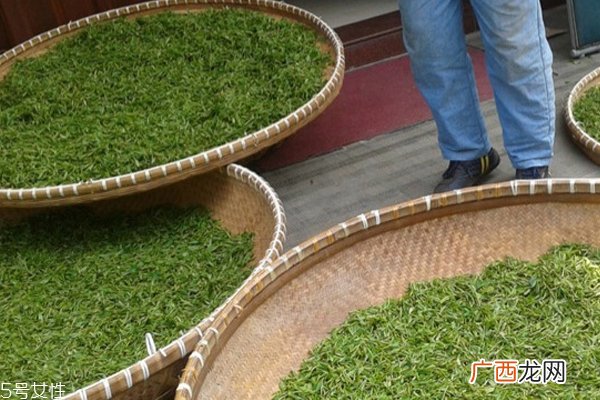 浓茶有哪些 什么茶比较浓