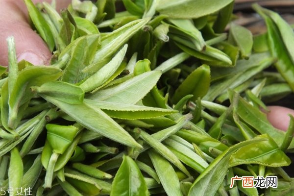 绿茶杀青是什么意思 绿茶杀青方式有几种