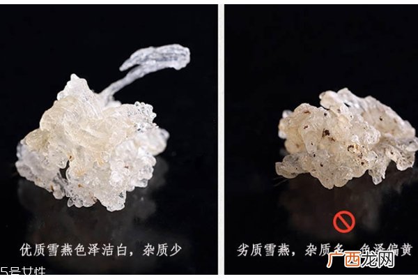 雪燕是什么颜色 雪燕好坏对比图