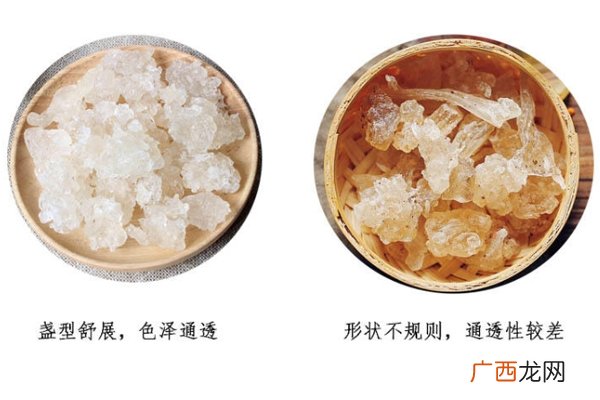 雪燕是什么颜色 雪燕好坏对比图