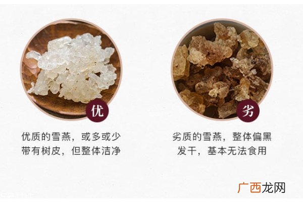 雪燕气味发酸吗 干闻是自然酸味