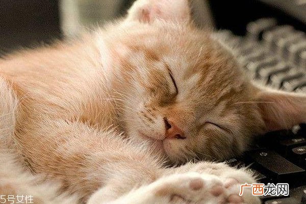 失眠睡眠不足怎么办 帮助睡眠小技巧