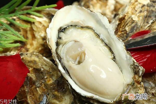 国产生蚝能生吃吗 达到生食标准的非常少