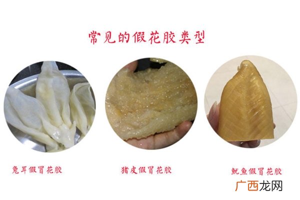 花胶泡好什么样 乳白的鱼肉色