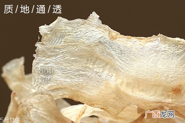 花胶是不是越大越好 还要看品种和干度