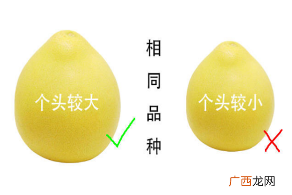 柚子有酒精味还能吃吗 会引起肠胃不适