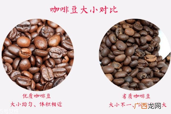 咖啡豆大小不一好吗 大小均匀才合理