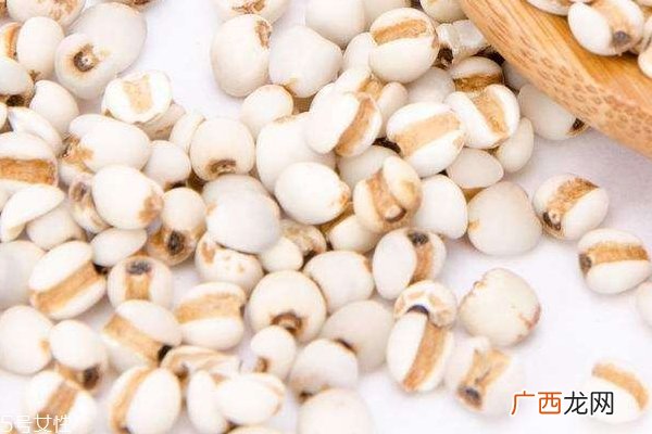 薏米受潮还能吃吗 薏米怎么判断是否受潮