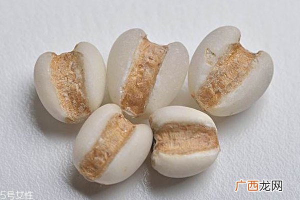 薏米受潮还能吃吗 薏米怎么判断是否受潮
