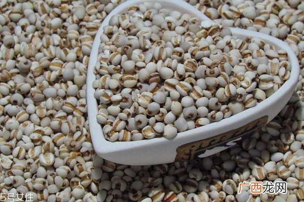 薏米是什么气味 薏米过期是什么气味