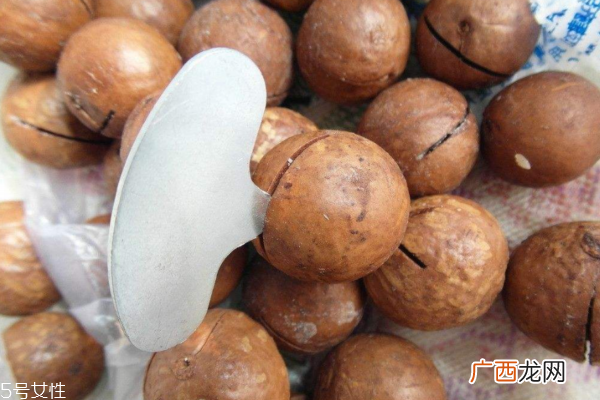 夏威夷果越大越好吗 越大越有营养