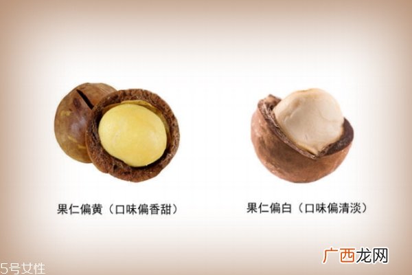 夏威夷果仁是什么颜色 一种偏白一种偏黄