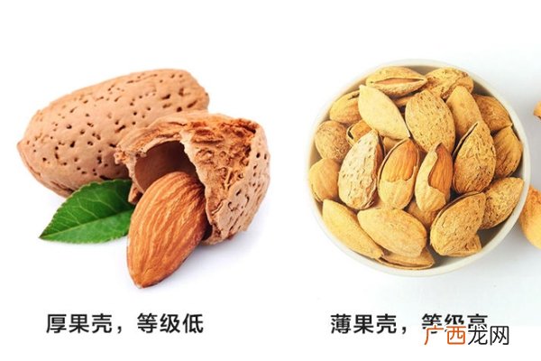 巴旦木等级怎么分 外壳越薄等级越高