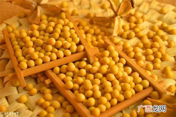 秋天吃什么不困 常吃5种食物缓困意