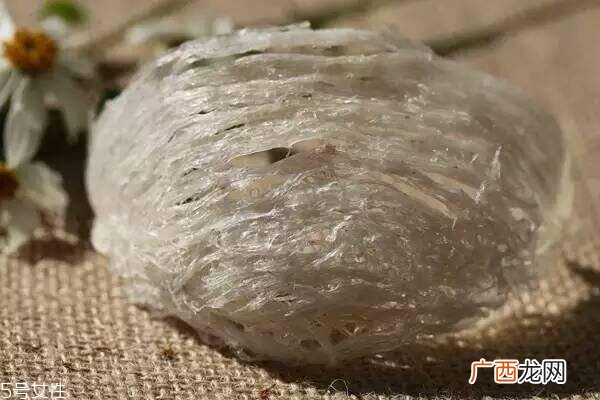 燕窝产地哪里最好 世界3大产地pk
