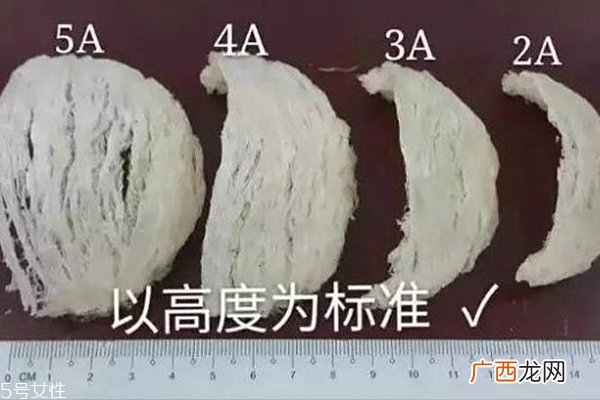 燕窝外形的图片大全 燕角性价比最高