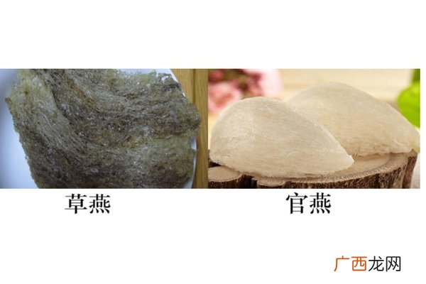 燕窝真假怎么分辨 注意3点再也不会上当