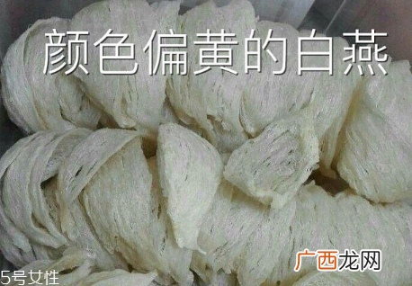 燕窝真假怎么分辨 注意3点再也不会上当