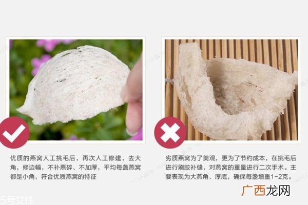 燕窝真假怎么分辨 注意3点再也不会上当