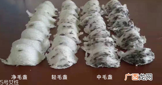 燕窝毛怎么挑 化学除毛和刷胶挂浆有害健康
