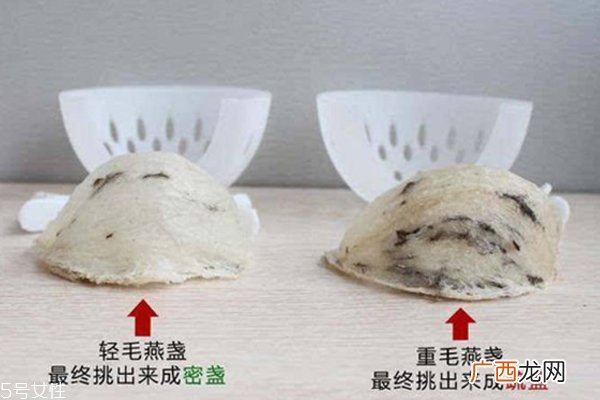 燕窝毛怎么挑 化学除毛和刷胶挂浆有害健康