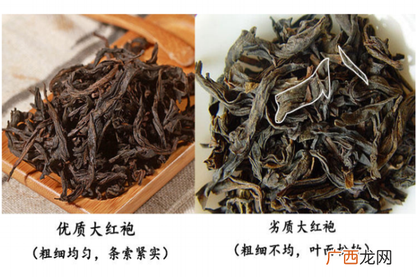 大红袍茶叶形状图片 真假对比图