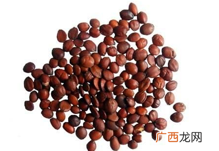酸枣仁一次吃多少克 酸枣仁吃多了会怎么样