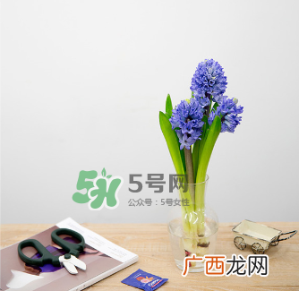 鲜花怎么保存时间长 鲜花怎么保鲜