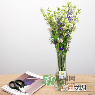 鲜花怎么保存时间长 鲜花怎么保鲜